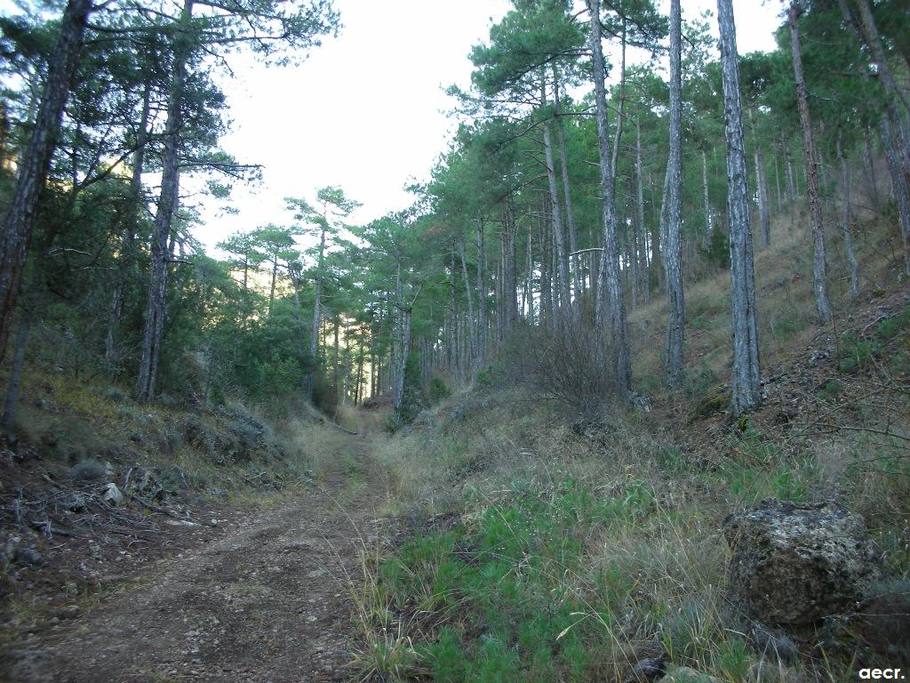 Foto de Villalba de la Sierra (Cuenca), España