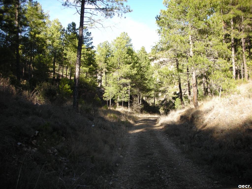 Foto de Villalba de la Sierra (Cuenca), España