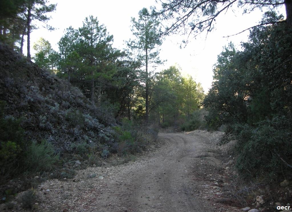 Foto de Villalba de la Sierra (Cuenca), España