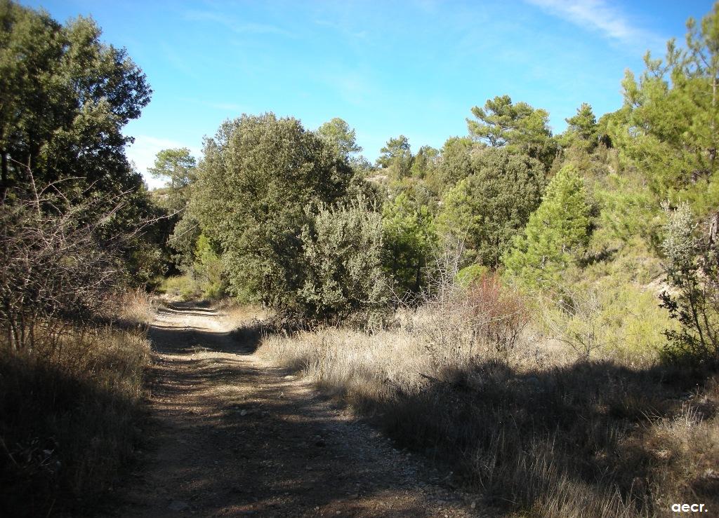 Foto de Villalba de la Sierra (Cuenca), España