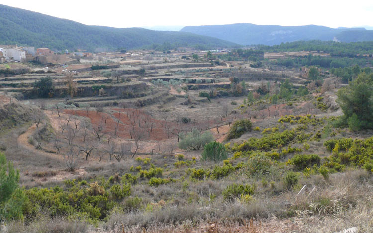 Foto de San Vicente de Piedrahíta (Castelló), España