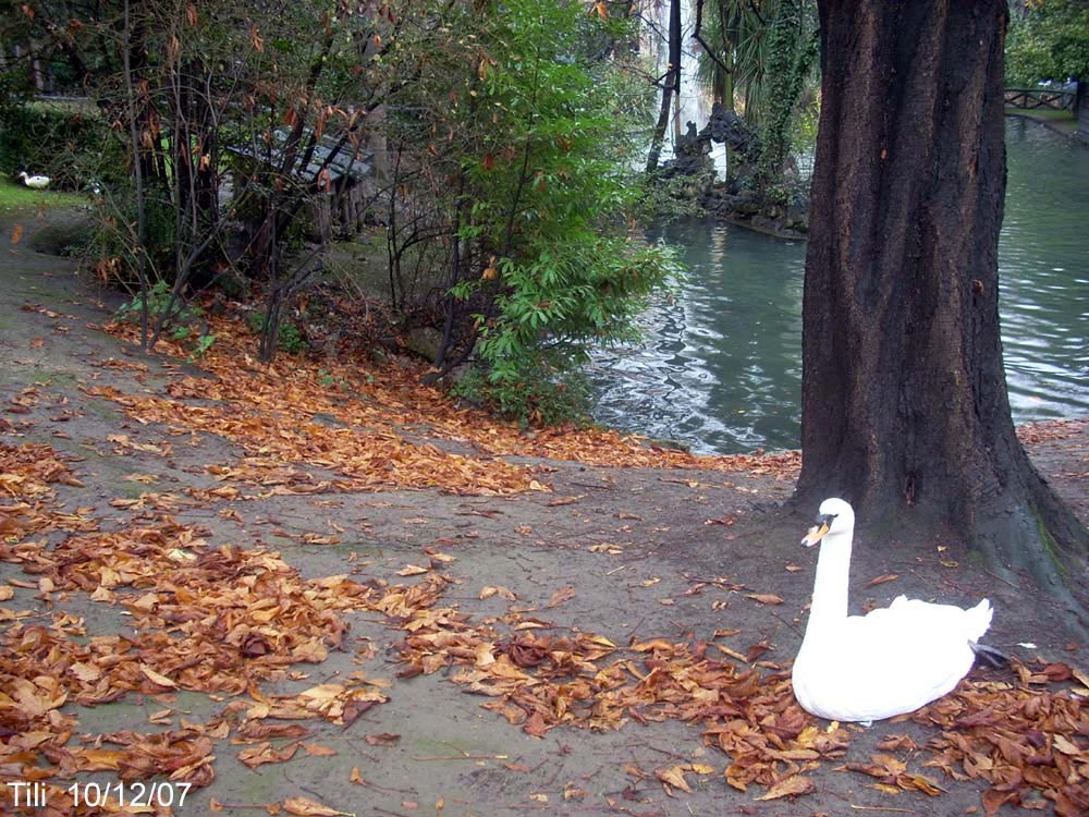 Foto de Oviedo (Asturias), España