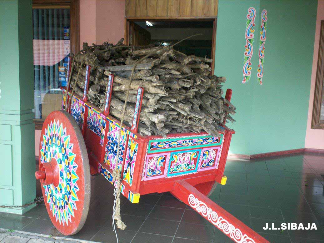 Foto de Sarchi, Costa Rica