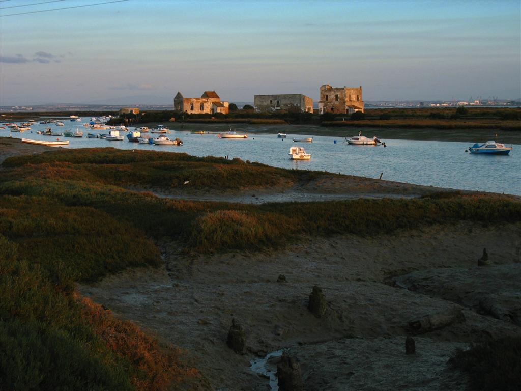 Foto de Puerto Real (Cádiz), España