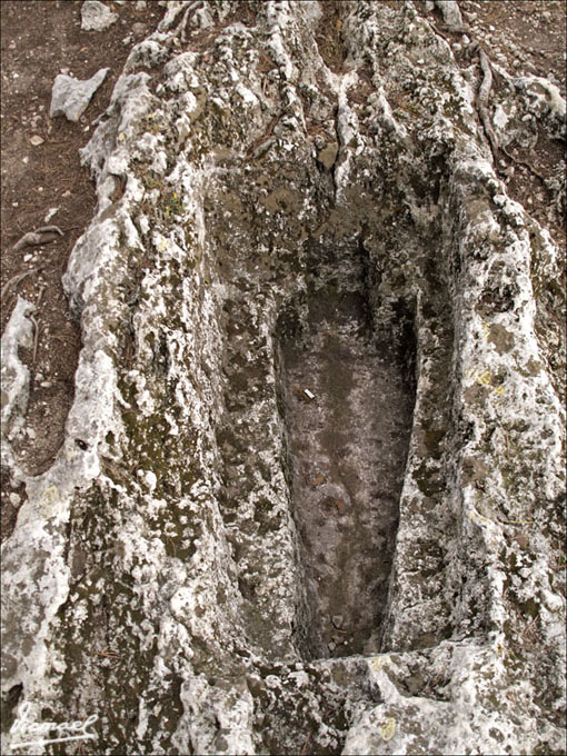 Foto de Olèrdola (Barcelona), España