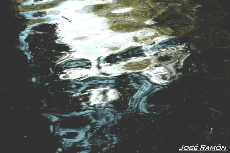 Foto de Olveras (Cádiz), España