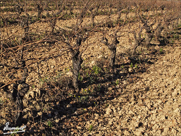 Foto de L'ARBOÇ (Tarragona), España