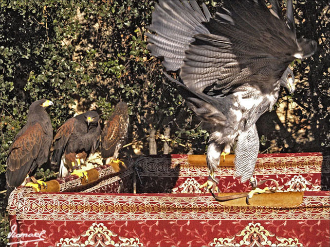 Foto de L'ARBOÇ (Tarragona), España