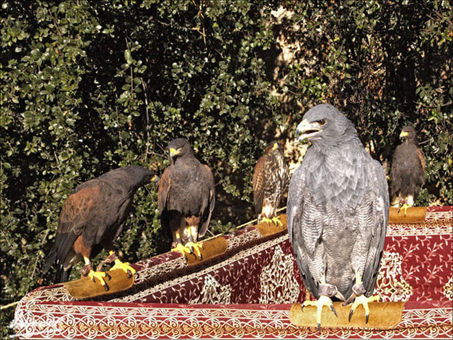 Foto de L'ARBOÇ (Tarragona), España
