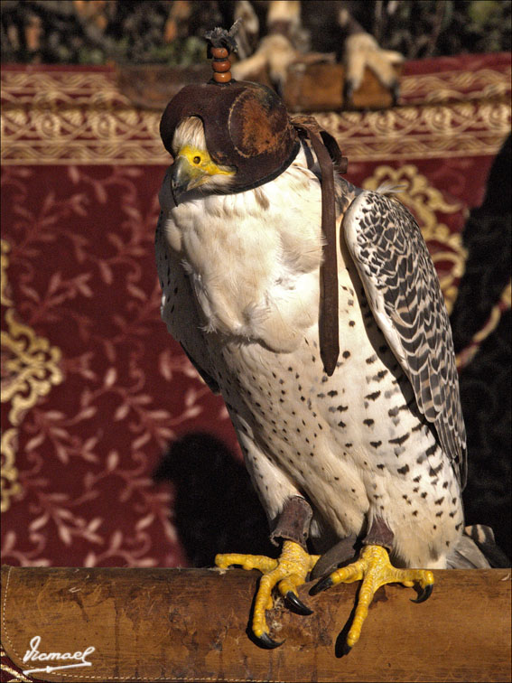 Foto de L'ARBOÇ (Tarragona), España