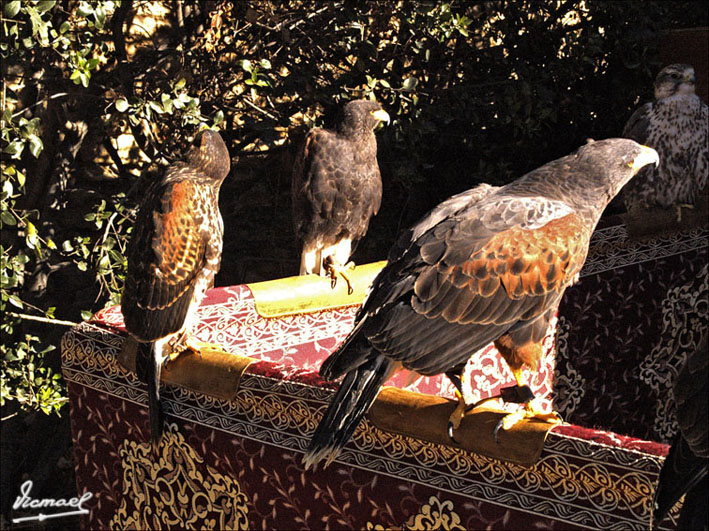 Foto de L'ARBOÇ (Tarragona), España