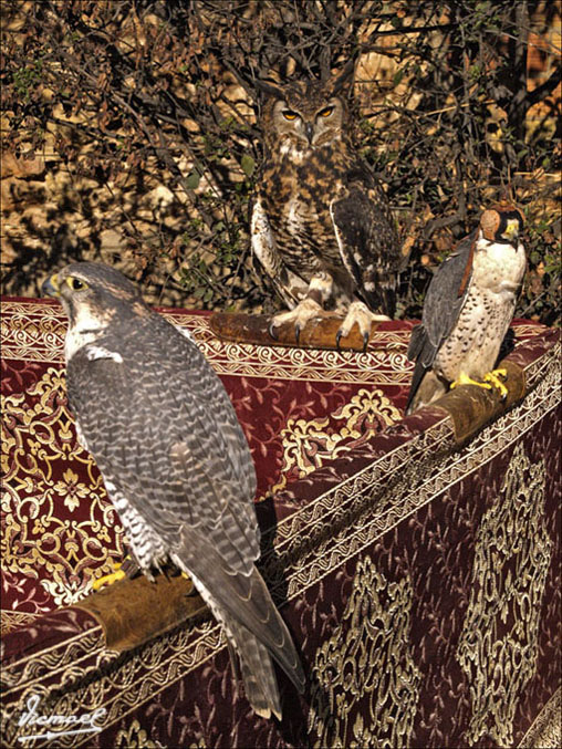 Foto de L'ARBOÇ (Tarragona), España