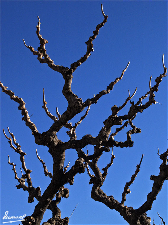 Foto de L'ARBOÇ (Tarragona), España