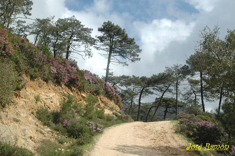 Foto de Algeciras (Cádiz), España