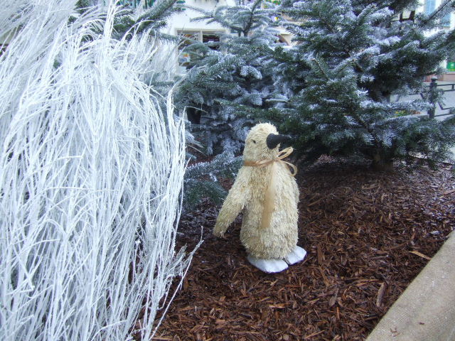 Foto de Molsheim, Francia