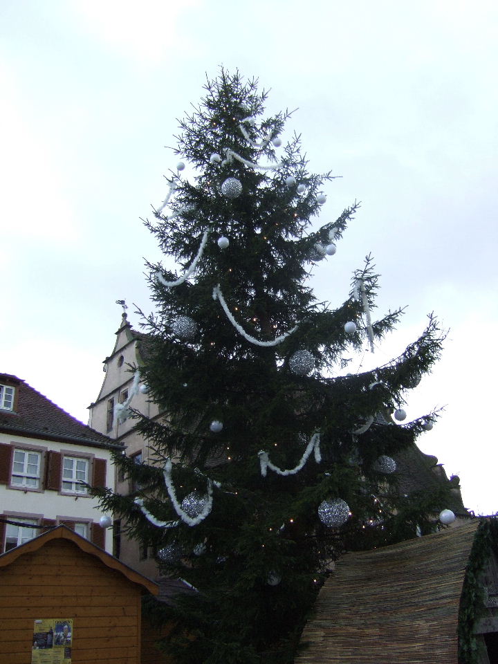 Foto de Molsheim, Francia