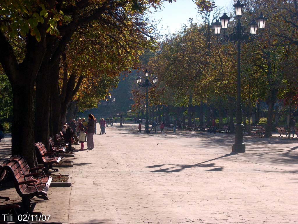 Foto de Oviedo (Asturias), España