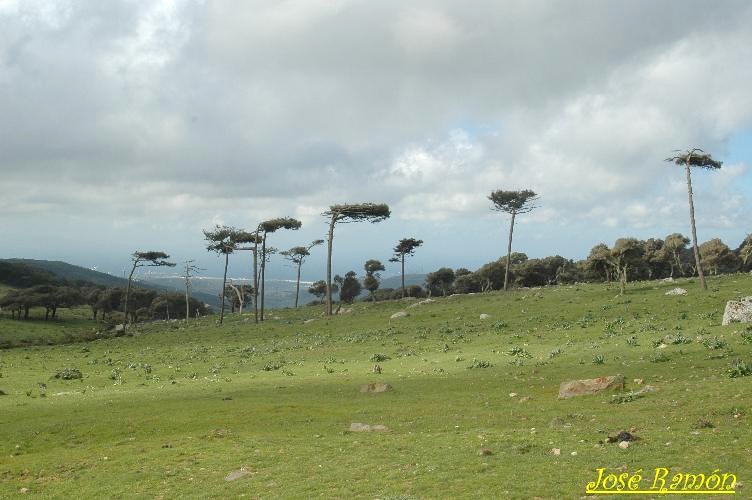 Foto de Algeciras (Cádiz), España