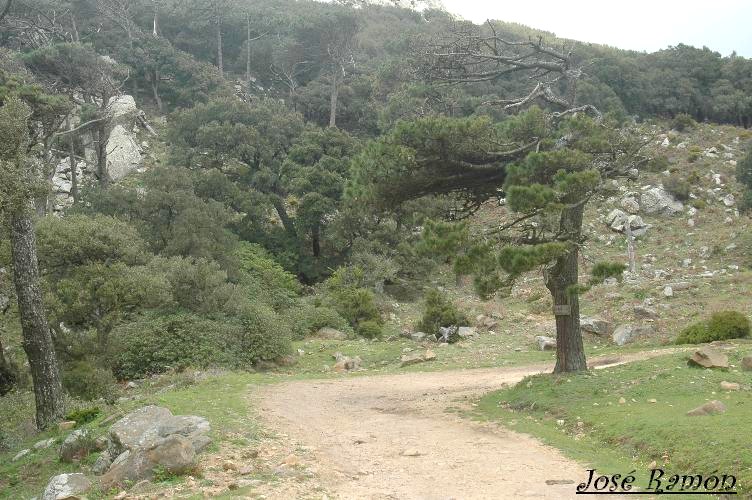 Foto de Algeciras (Cádiz), España