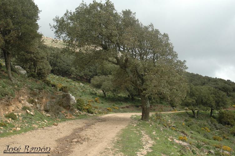 Foto de Algeciras (Cádiz), España