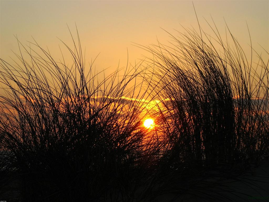 Foto de Cortadura (Cádiz), España