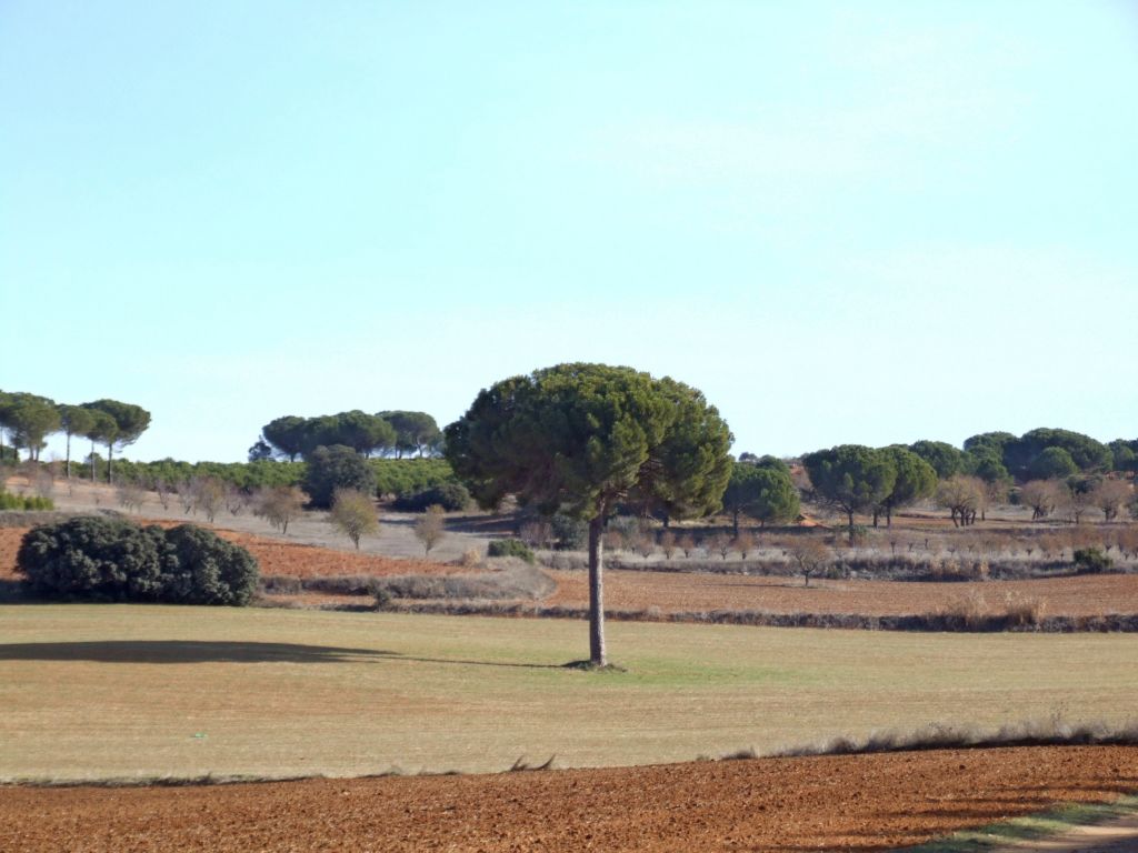 Foto de Rubielos Bajos (Cuenca), España