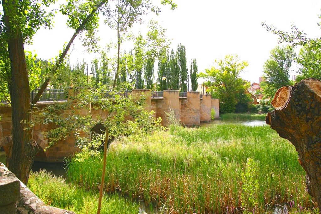 Foto de Soria (Castilla y León), España