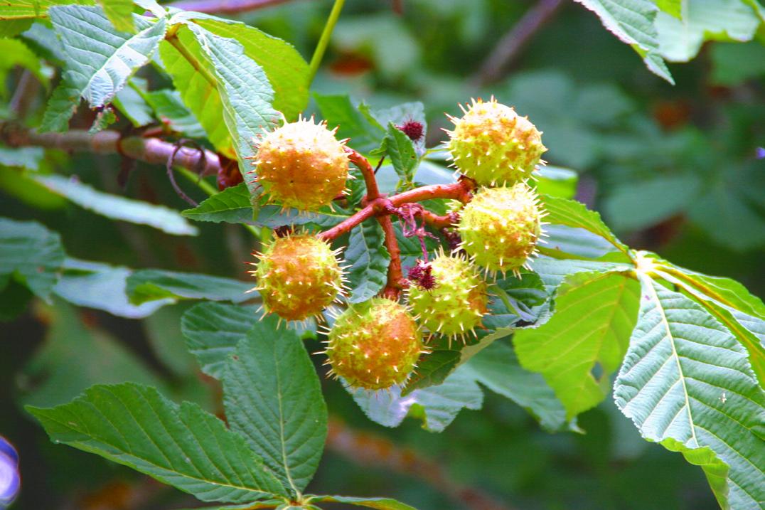 Foto de Soria (Castilla y León), España