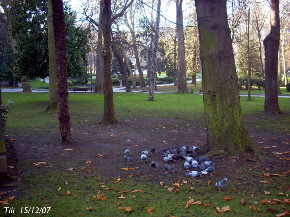 Foto de Oviedo (Asturias), España
