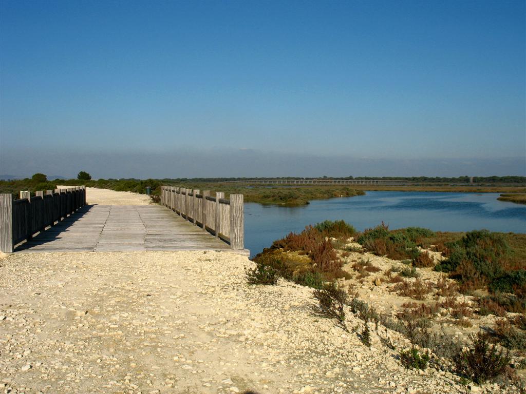 Foto de Puerto Real (Cádiz), España
