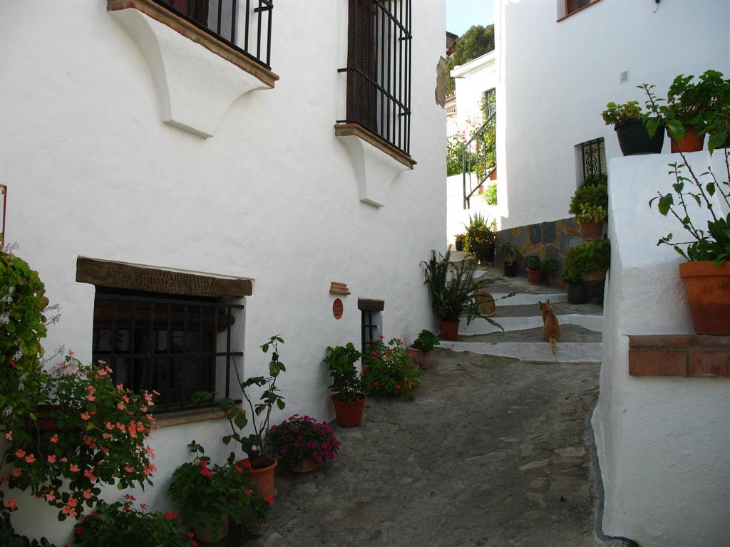 Foto de Jimena (Cádiz), España