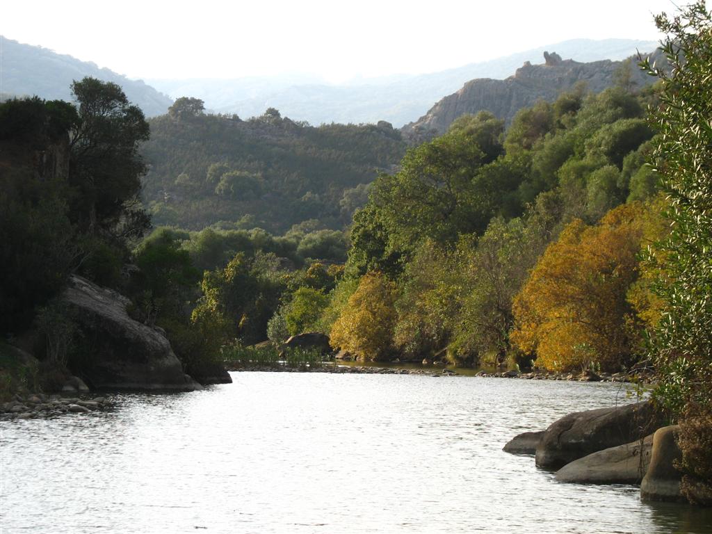 Foto de Jimena (Cádiz), España