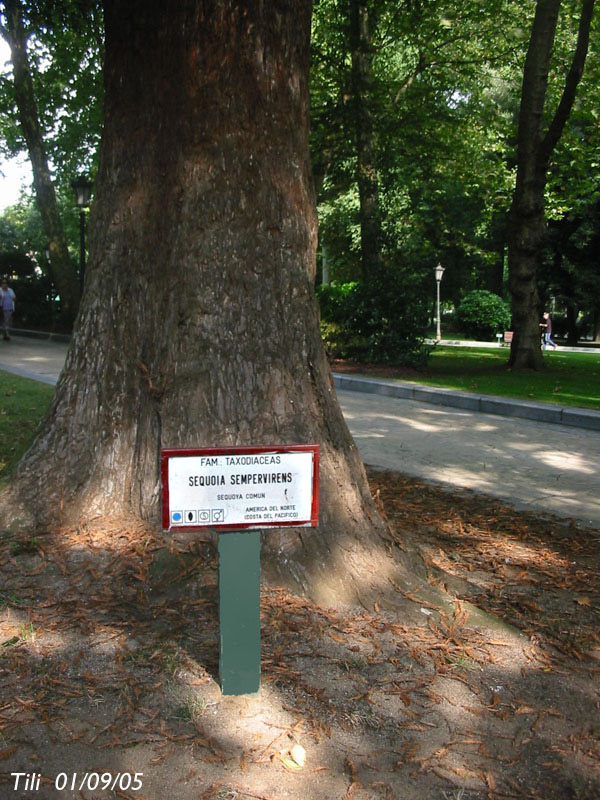 Foto de Oviedo (Asturias), España