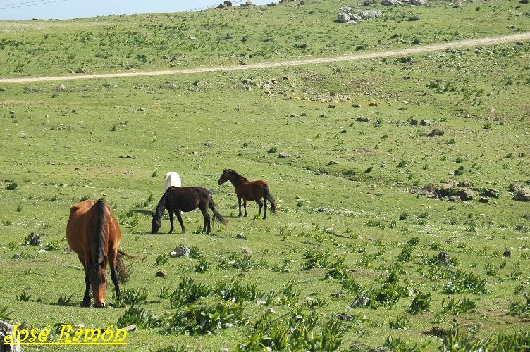 Foto de Algeciras (Cádiz), España