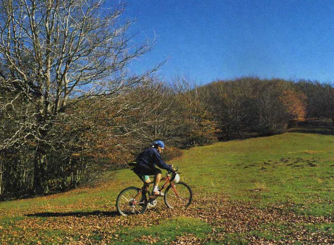Foto de Montseny (Barcelona), España