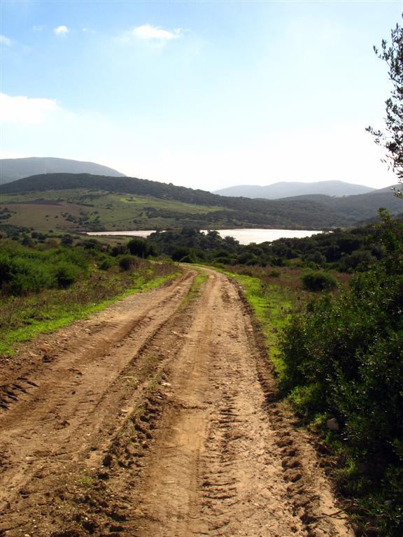 Foto de Los Barrios (Cádiz), España