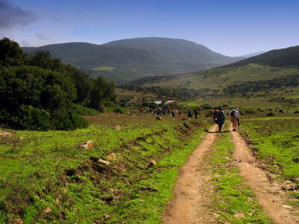 Foto de Los Barrios (Cádiz), España