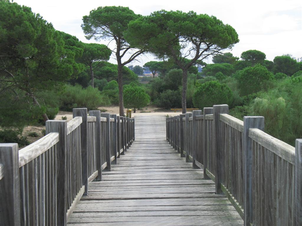 Foto de Puerto Real (Cádiz), España