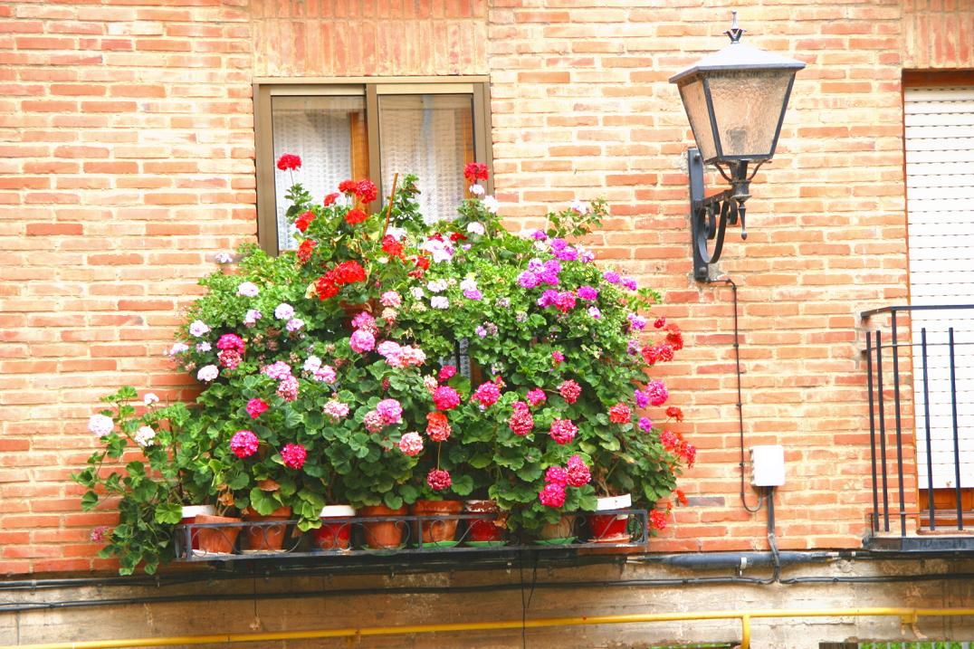Foto de El Burgo de Osma (Soria), España
