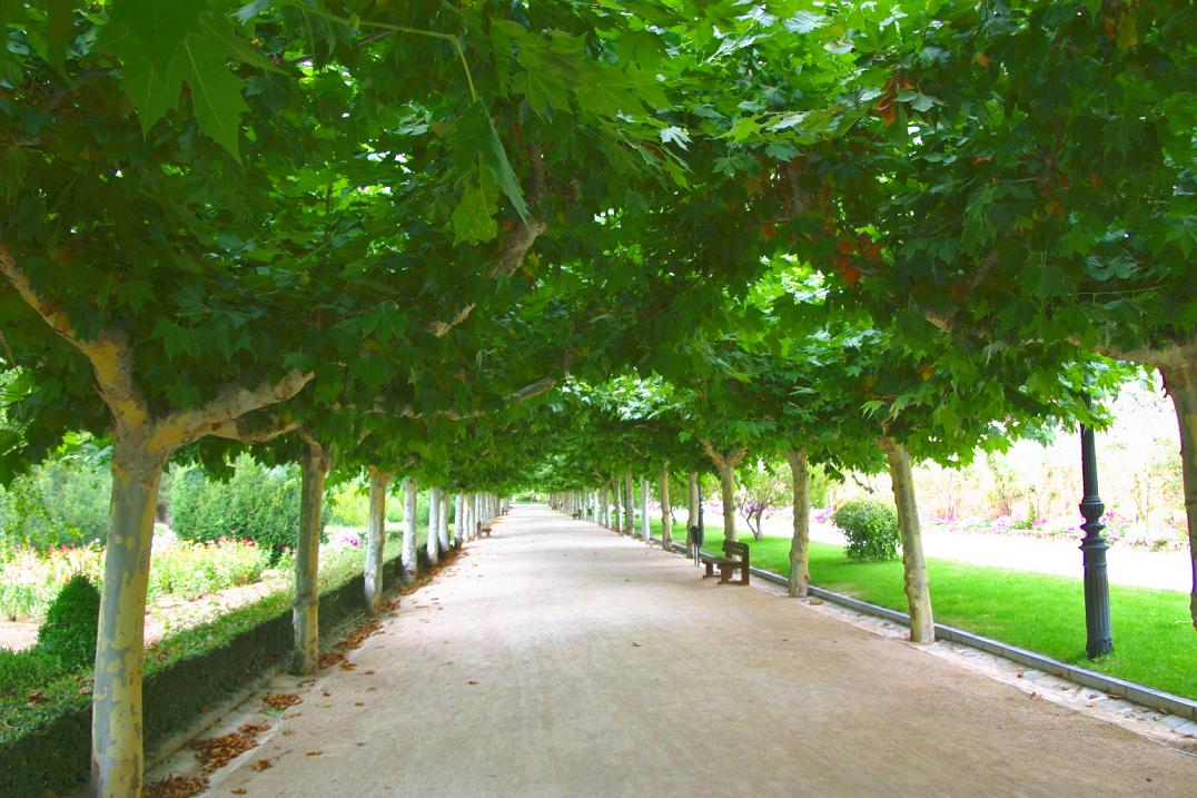 Foto de El Burgo de Osma (Soria), España