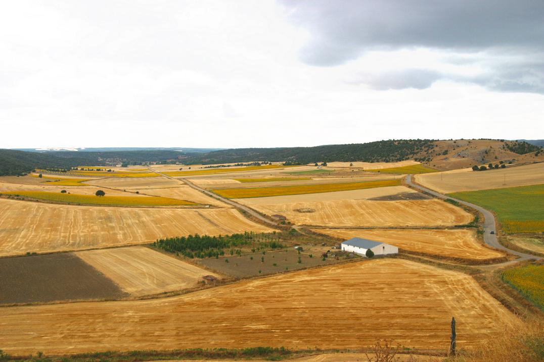 Foto de El Burgo de Osma (Soria), España