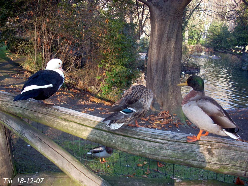 Foto de Oviedo (Asturias), España