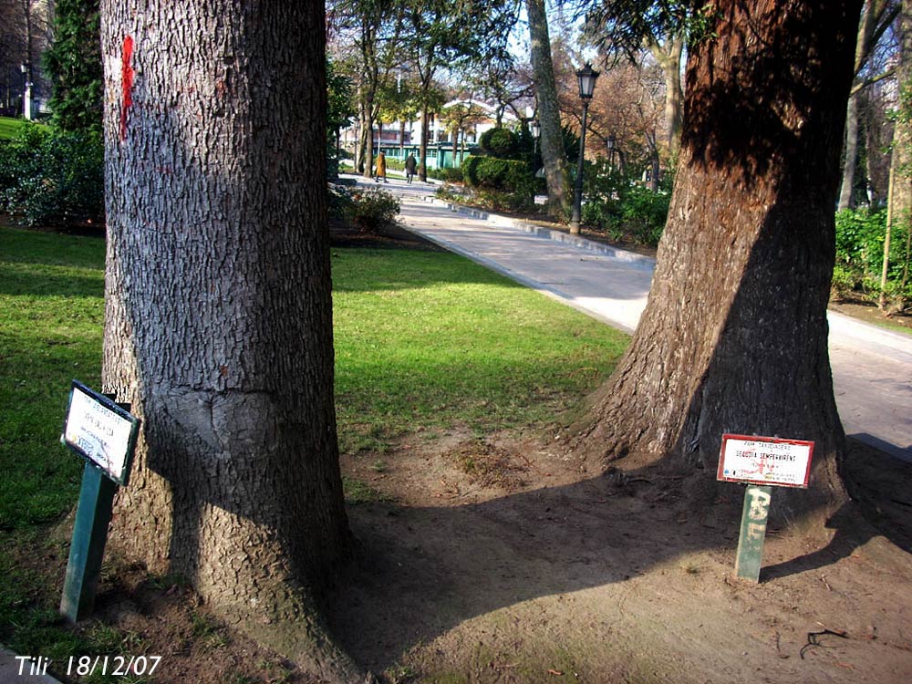 Foto de Oviedo (Asturias), España