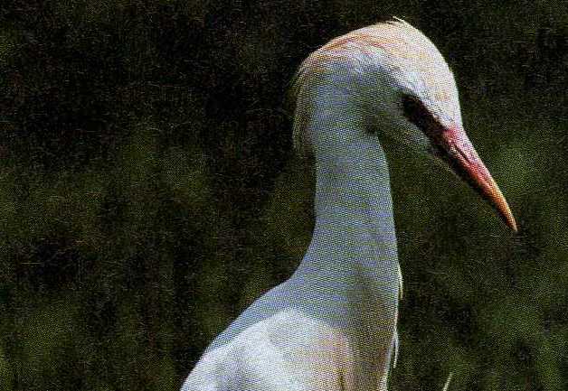 Foto de Emporda (Girona), España