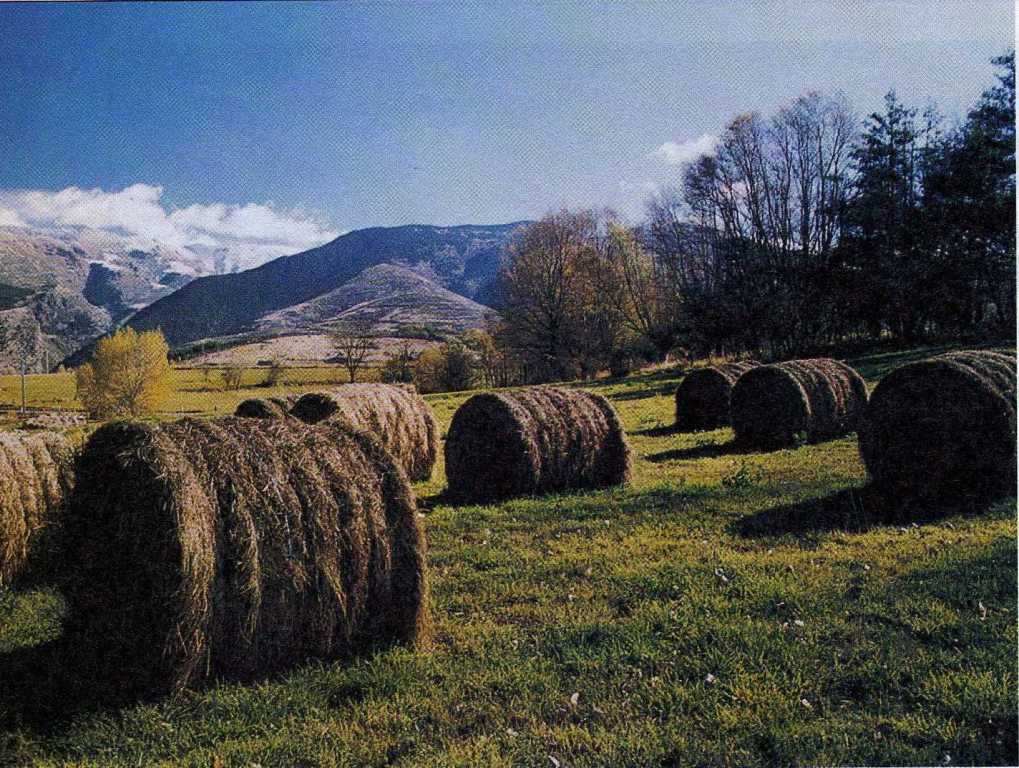 Foto de La Cerdanya (Girona), España