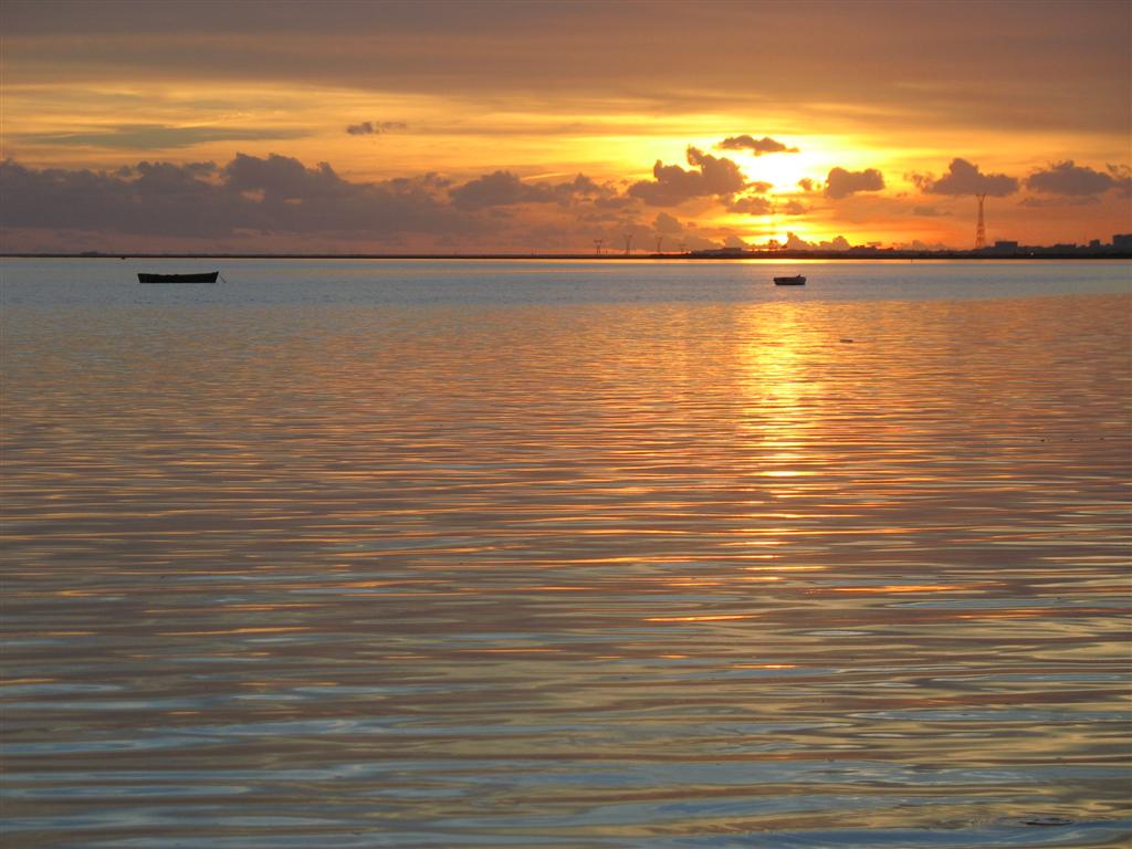 Foto de Puerto Real (Cádiz), España