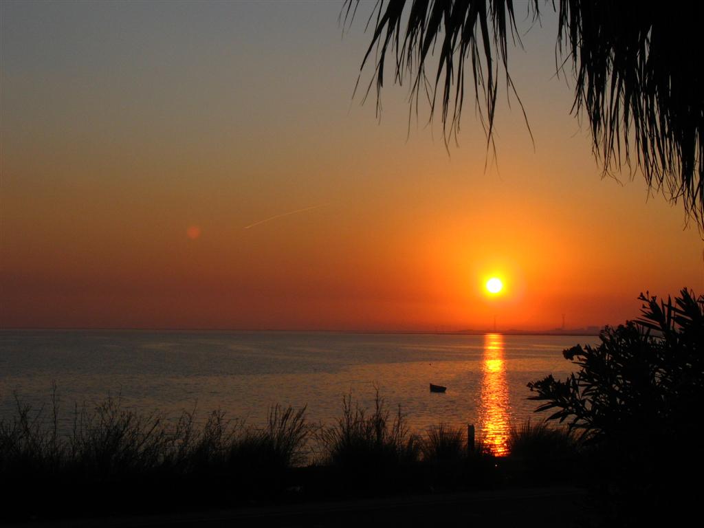 Foto de Puerto Real (Cádiz), España
