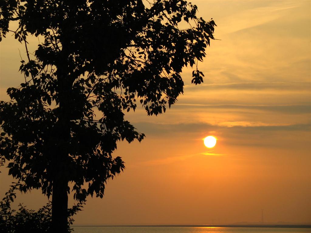 Foto de Puerto Real (Cádiz), España