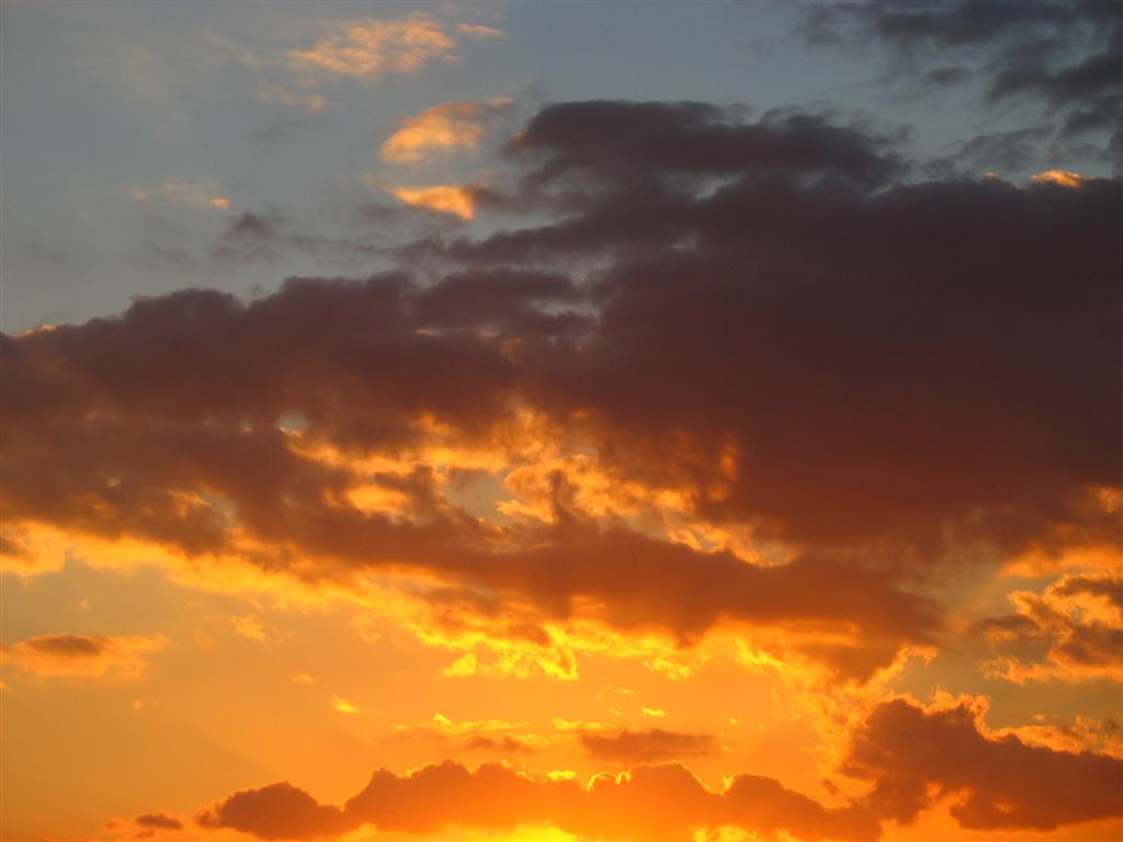 Foto de Puerto Real (Cádiz), España