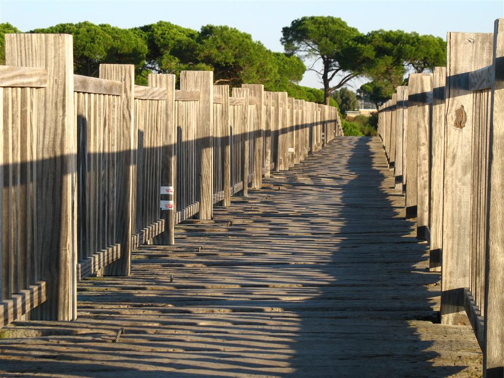Foto de Puerto Real (Cádiz), España
